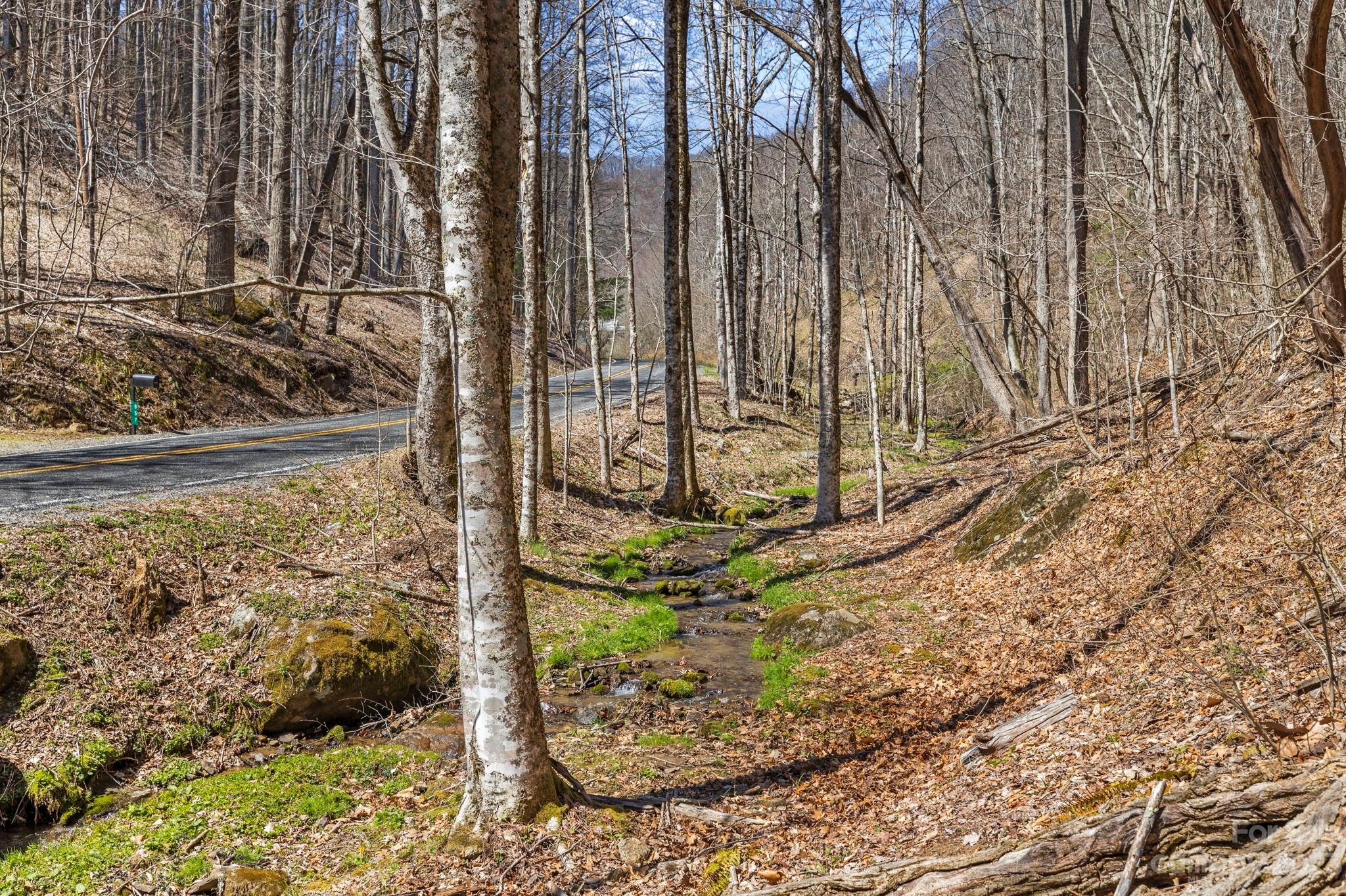 848 Panther Branch Road Hot Springs, NC 28743 - Photo 46 of 48 Gallery Image 46