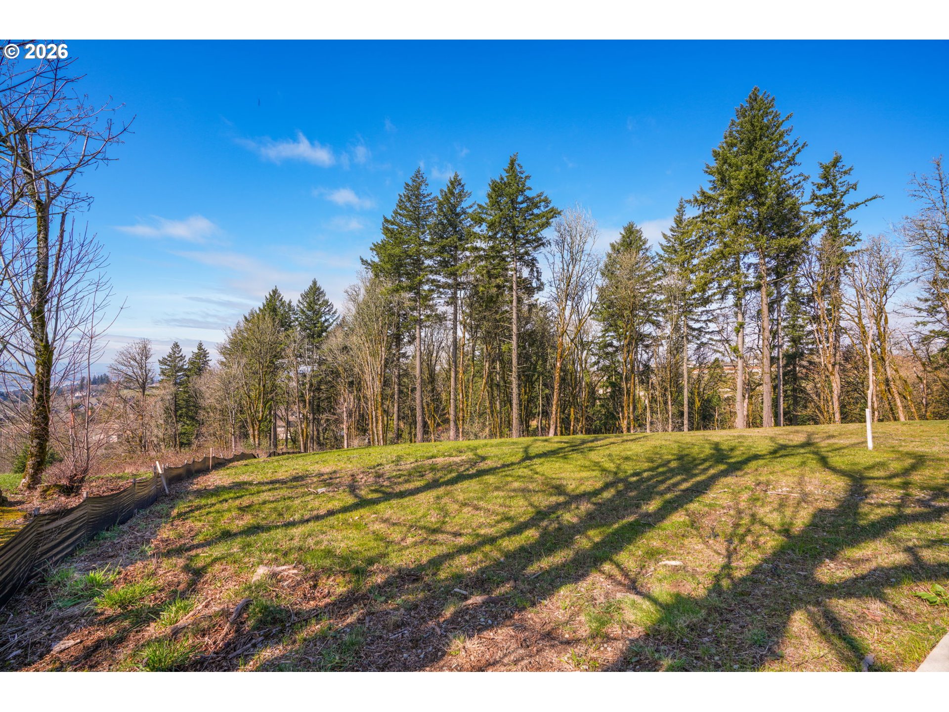 3003 Northwest 13th Circle Camas, WA 98607 - Photo 3 of 17
