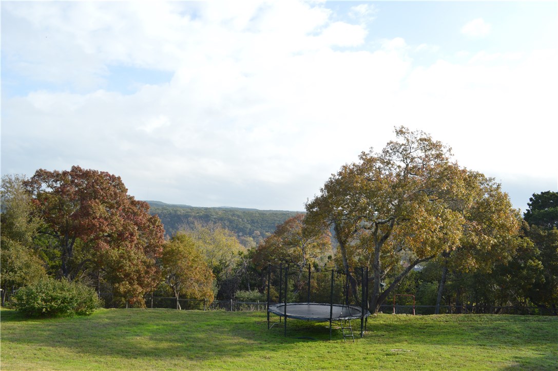 a view of a park with large trees
