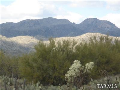 2750 West Moore Road Tucson, AZ 85755 - Photo 7 of 16 Gallery Image 7