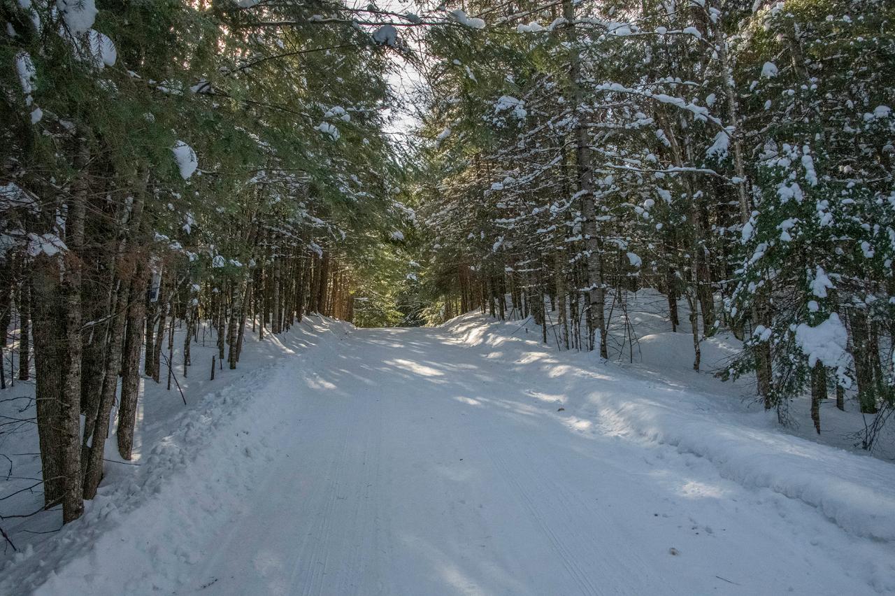 Lot 5 Rock Lake Road Presque Isle, WI 54557 - Photo 1 of 24 Gallery Image 1