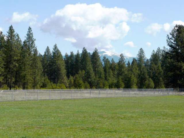 20210 North Yale Road Colbert, WA 99005 - Photo 9 of 9