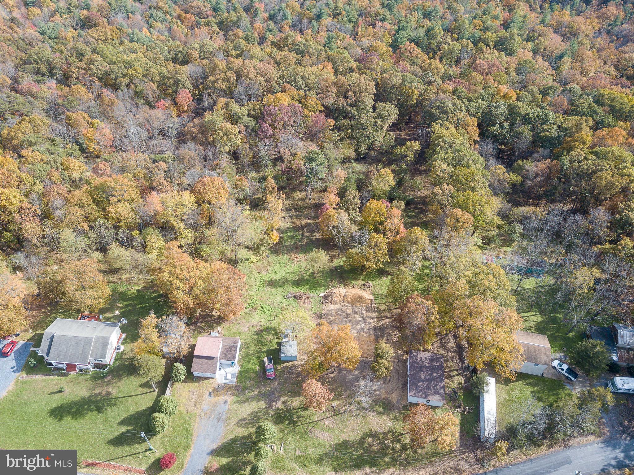 9472 Supinlick Ridge Road Mount Jackson, VA 22842 - Photo 8 of 27