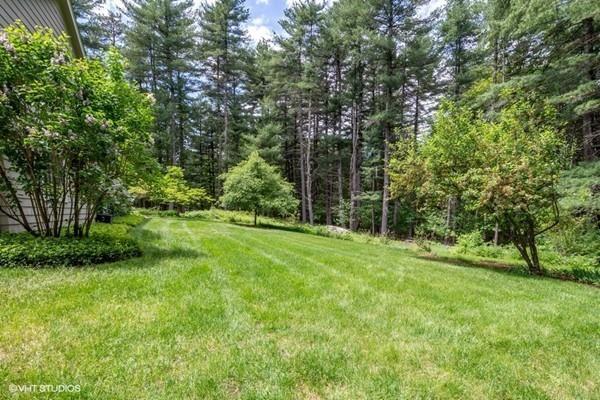 175 Powers Road Sudbury, MA 01776 - Photo 31 of 32 a view of a lush green space