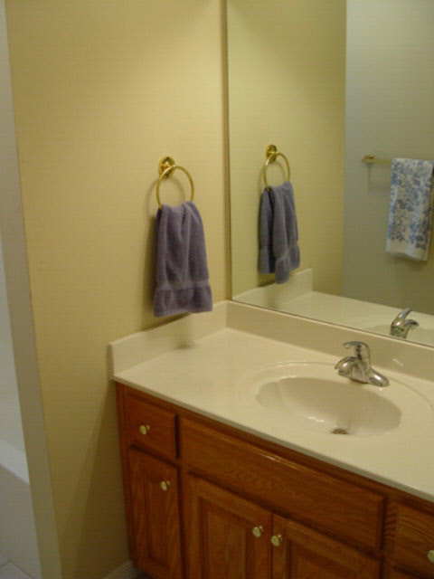 10496 South Side Loop Fairhope, AL 36532 - Photo 19 of 21 Hall bathroom sink