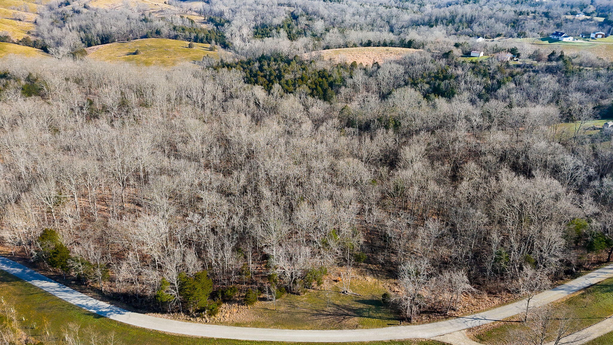 0 Baxter Ridge Road Lawrenceburg, KY 40342 - Photo 10 of 32 4-web-or-mls-Baxter-6