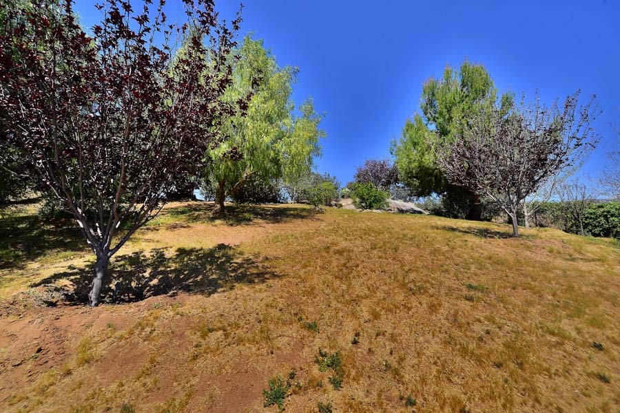 24530 Pappas Road Ramona, CA 92065 - Photo 16 of 16 Gallery Image 16