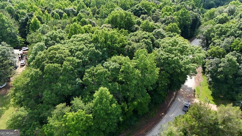 893 Hickory Hills Road Danielsville, GA 30633 - Photo 4 of 7