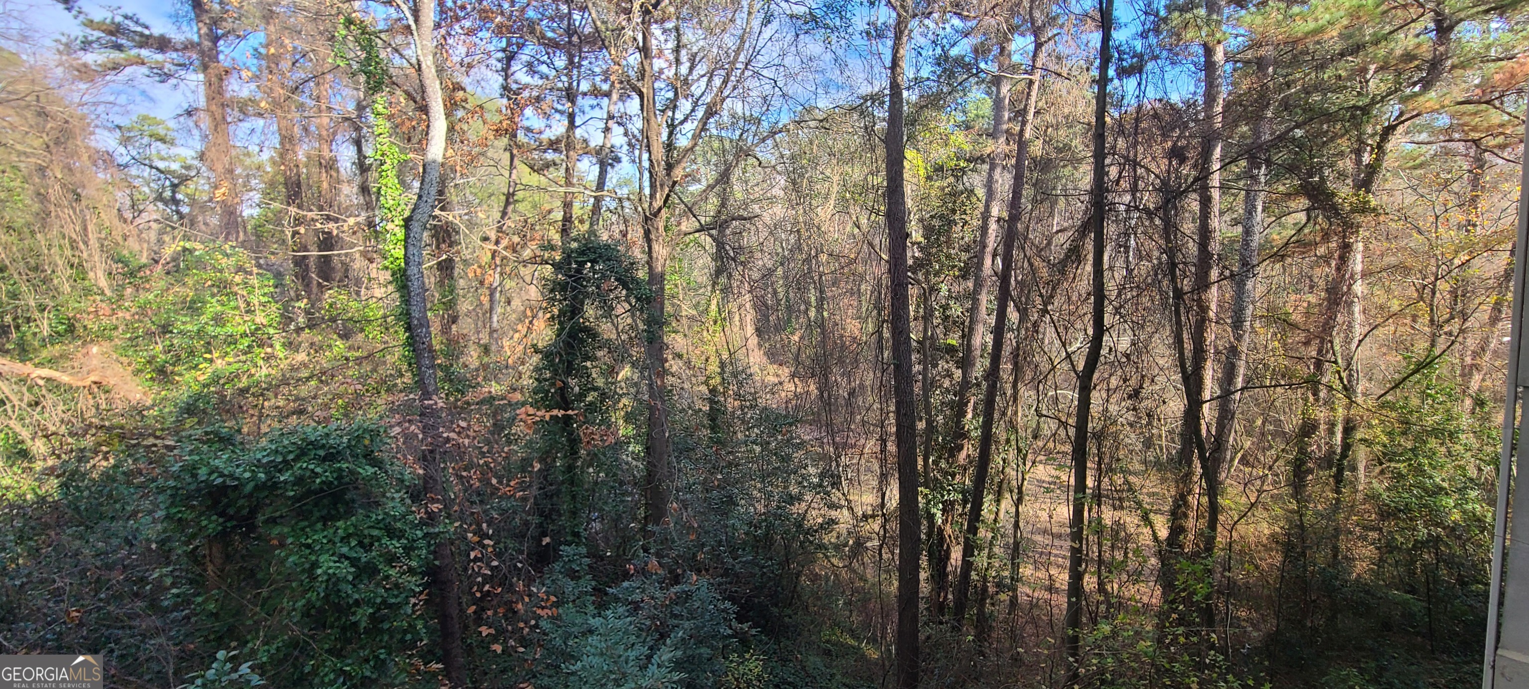 3047 Lenox Road Northeast, Unit 2107 Atlanta, GA 30324 - Photo 9 of 27 a view of forest