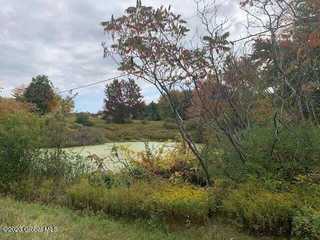 122 Groveside Road Hoosick Falls, NY 12090 - Photo 7 of 20 20211118083035644530000000-o