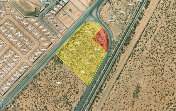 en suite bathroom with green walls and a shower curtain