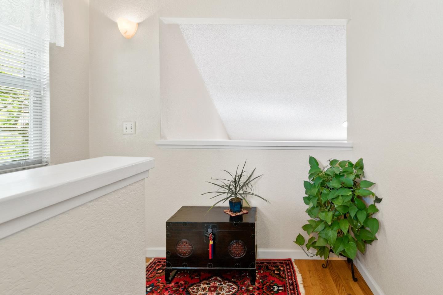 103 Stoney Creek Road Santa Cruz, CA 95060 - Photo 23 of 44 a potted plant sitting on top of a shelf