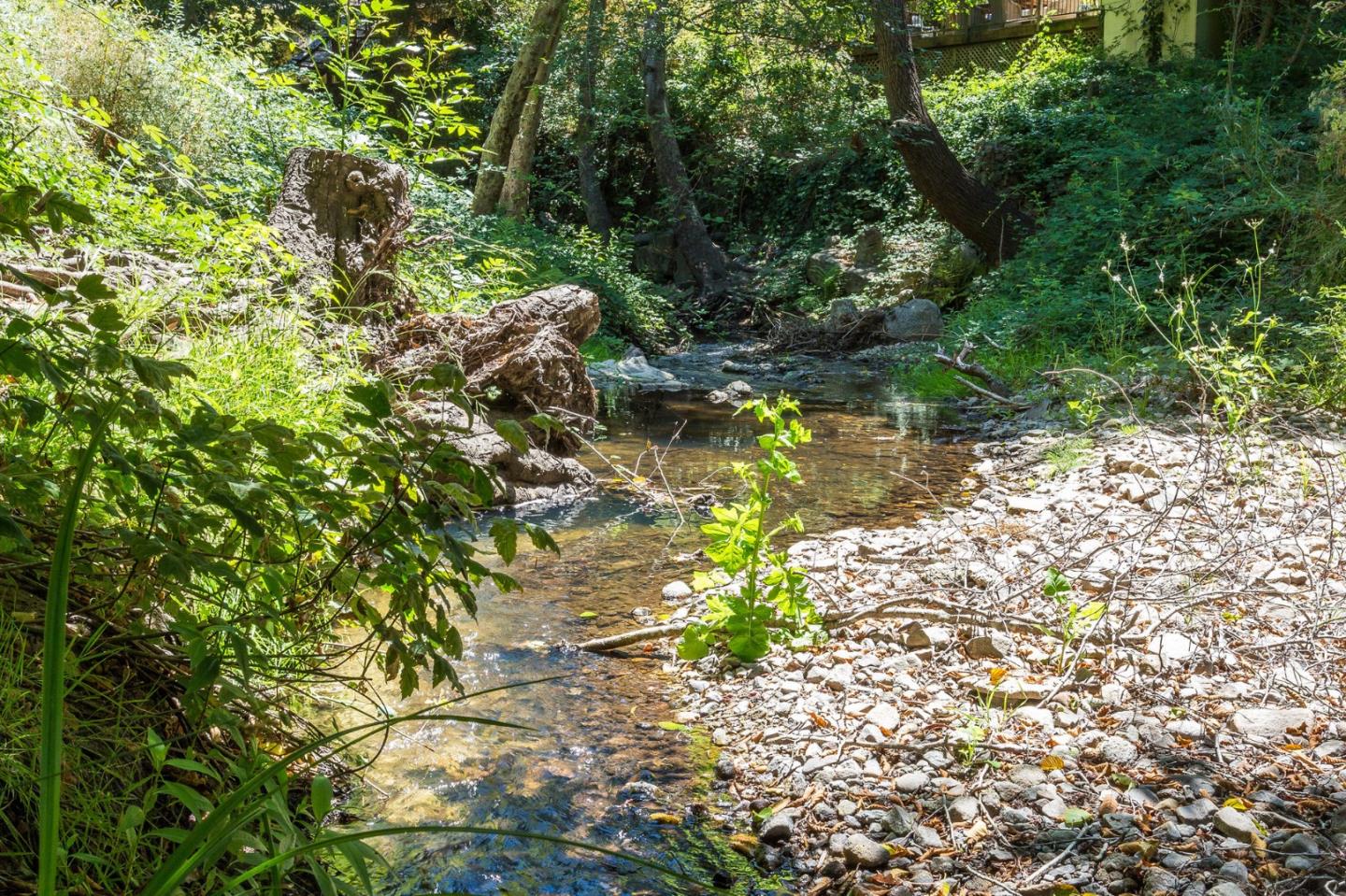 103 Stoney Creek Road Santa Cruz, CA 95060 - Photo 43 of 44 a backyard of a house with a yard and outdoor seating