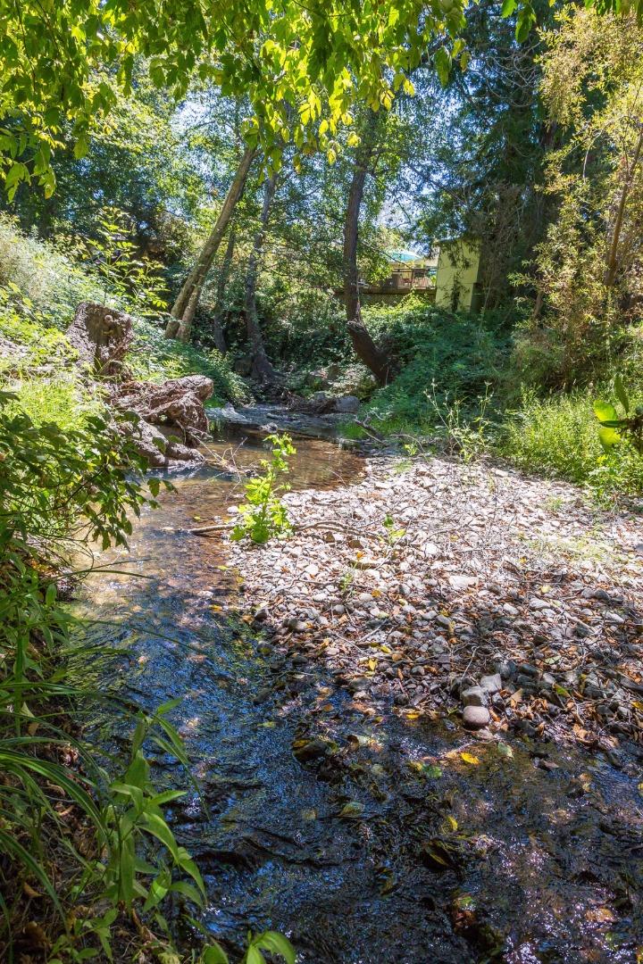 103 Stoney Creek Road Santa Cruz, CA 95060 - Photo 44 of 44 a view of a forest with trees