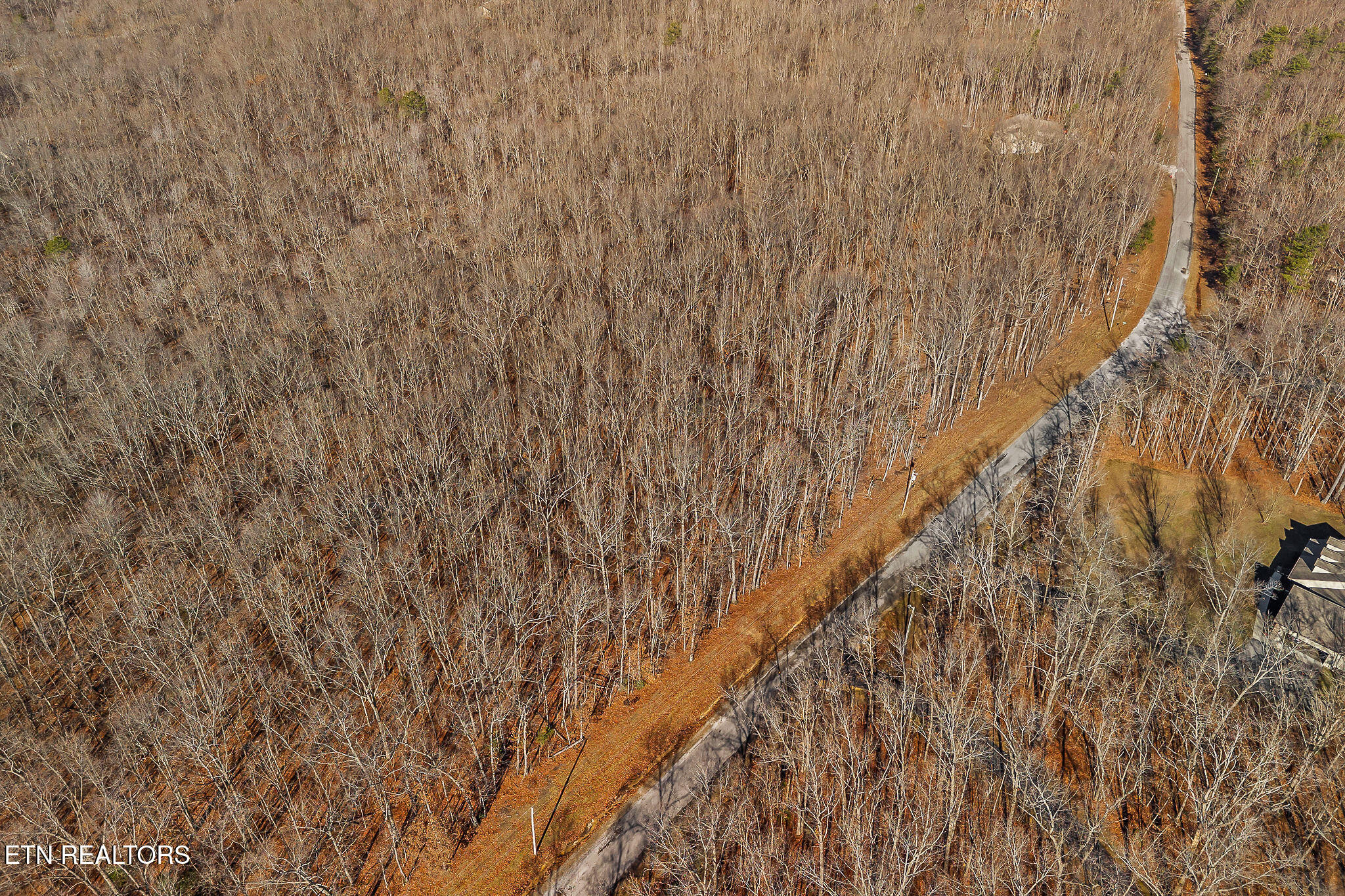 4-acres East Overlook Road Monterey, TN 38574 - Photo 14 of 17 LOCATED IN PUTNAM COUNTY