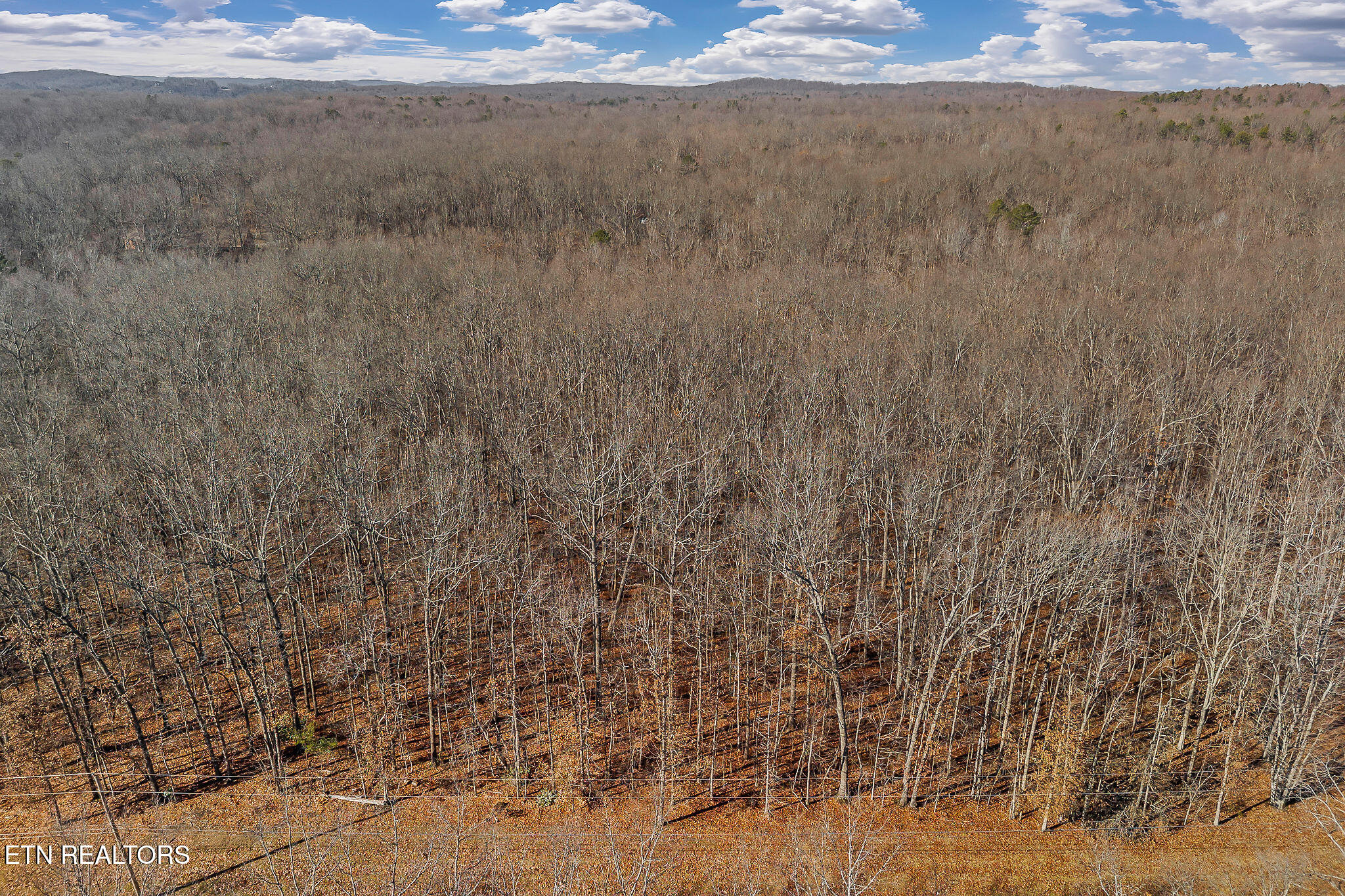 4-acres East Overlook Road Monterey, TN 38574 - Photo 15 of 17 AERIAL VIEW