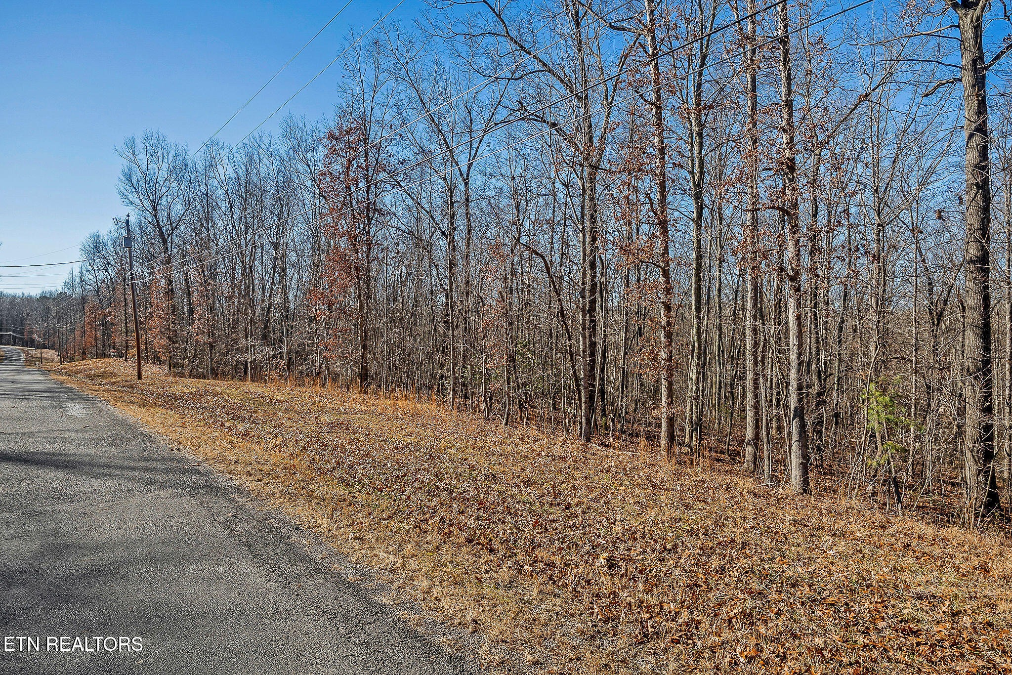 4-acres East Overlook Road Monterey, TN 38574 - Photo 3 of 17 LOT 14 E. OVERLOOK RD