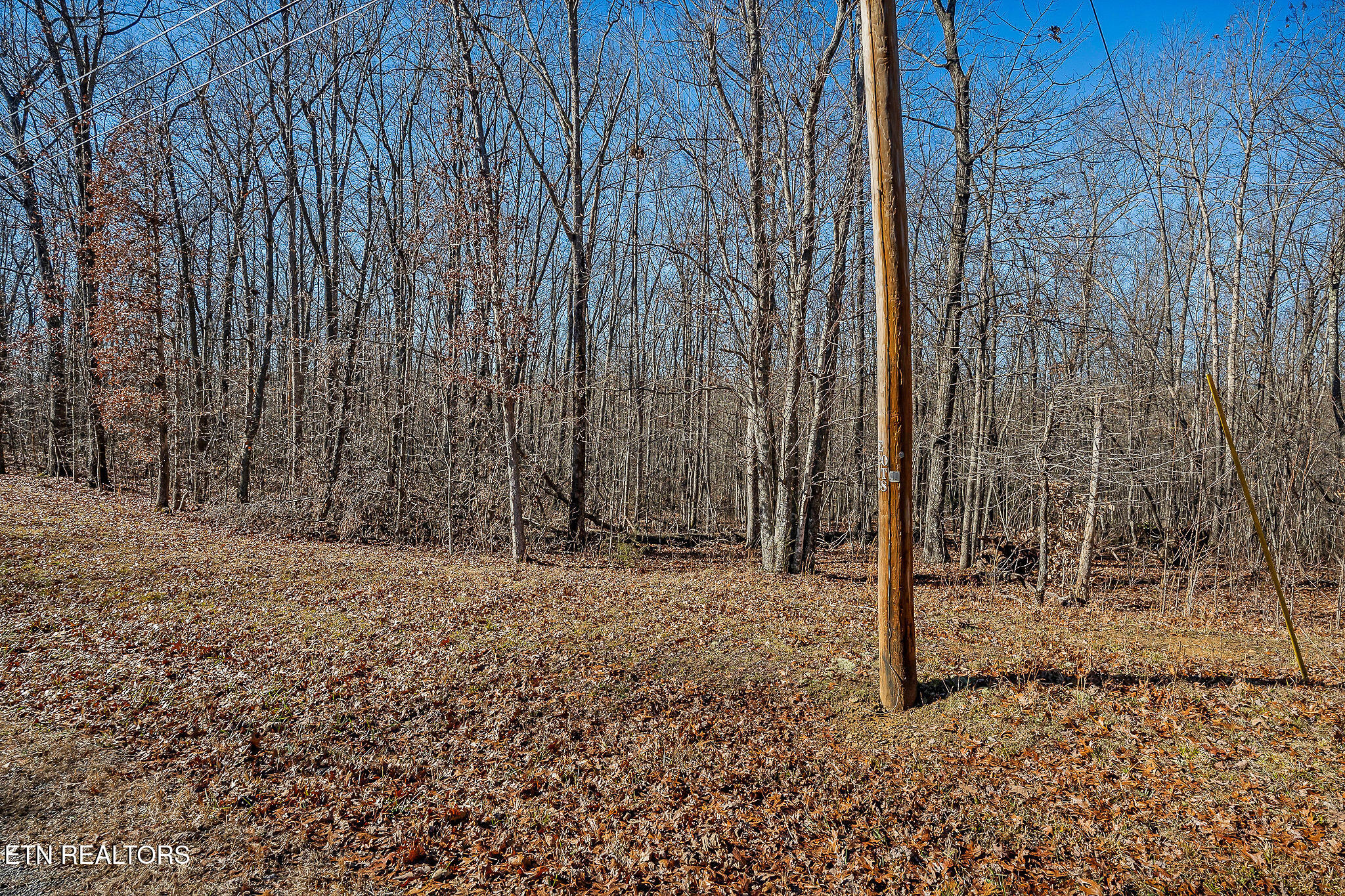 4-acres East Overlook Road Monterey, TN 38574 - Photo 5 of 17 WOODED LOT