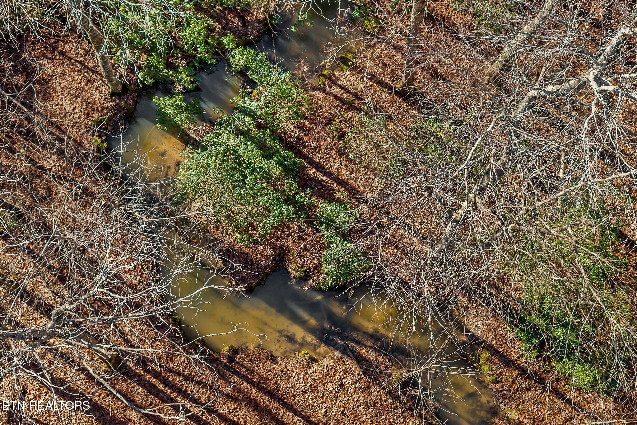 4-acres East Overlook Road Monterey, TN 38574 - Photo 7 of 17 AERIAL OF CREEK