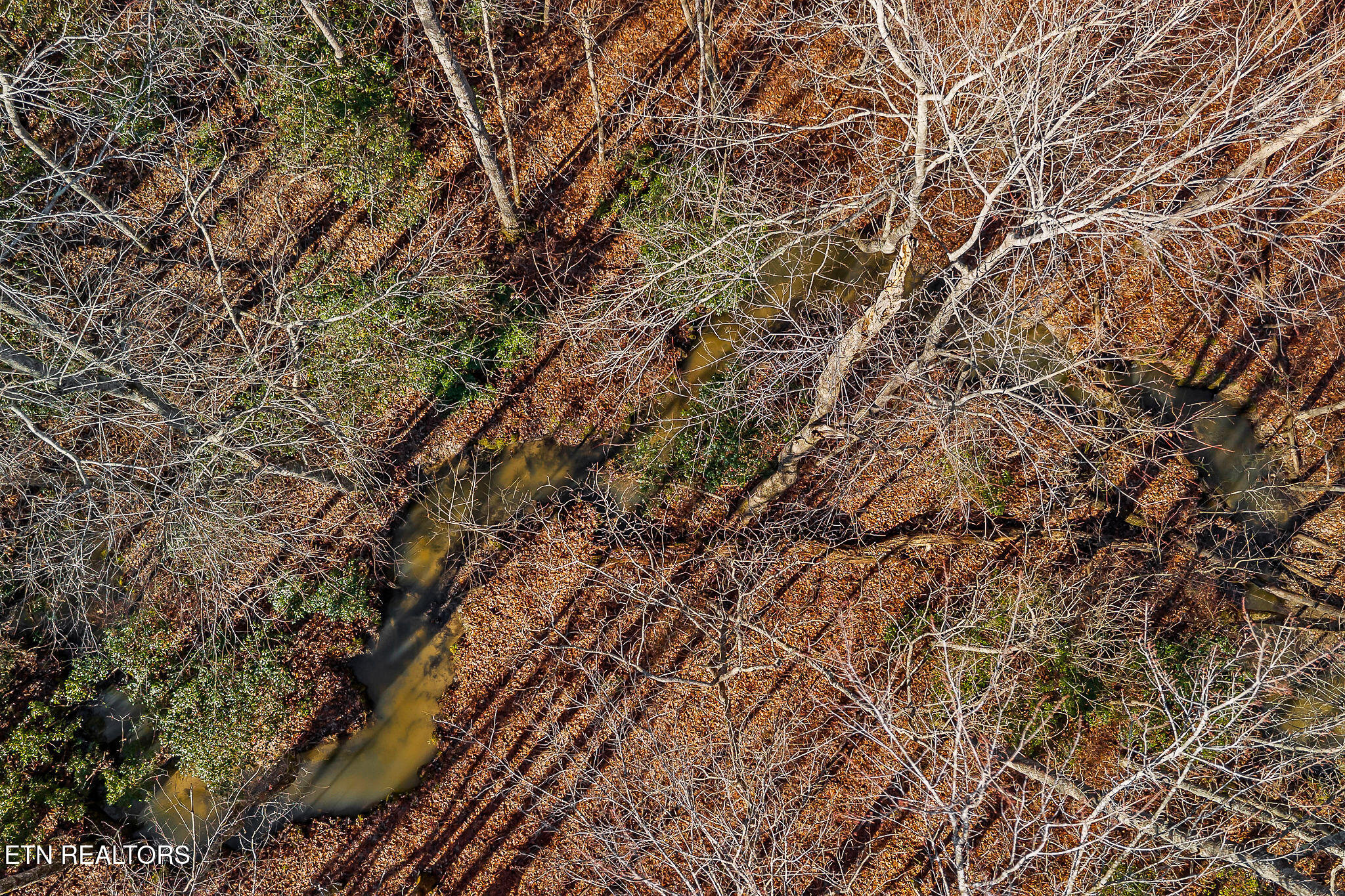 4-acres East Overlook Road Monterey, TN 38574 - Photo 8 of 17 AERIAL OF CREEK