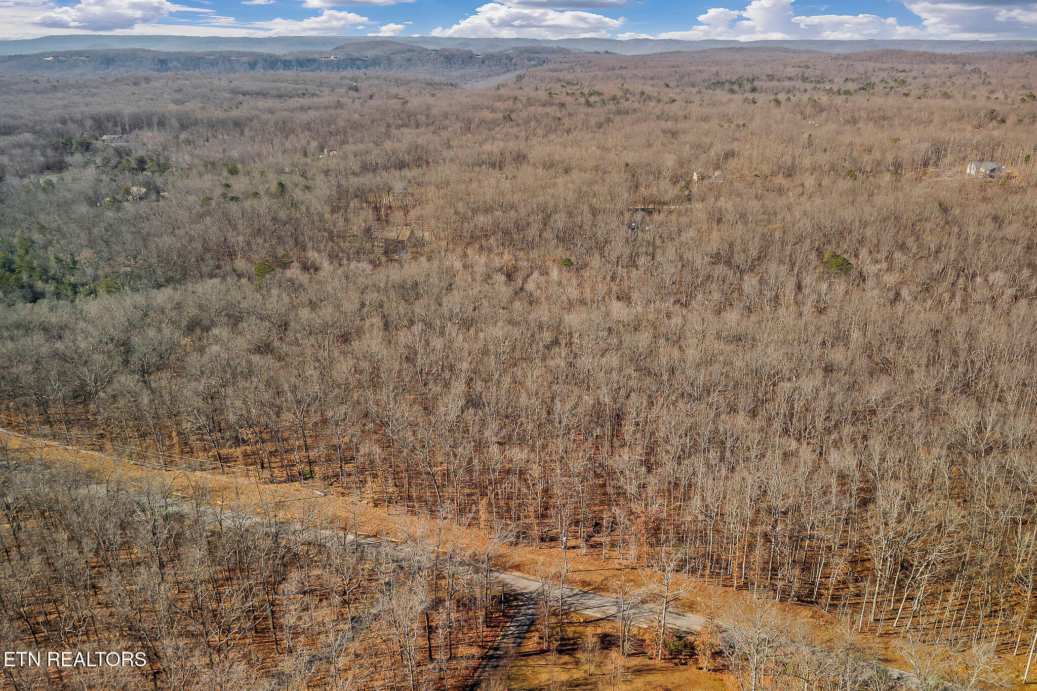 4-acres East Overlook Road Monterey, TN 38574 - Photo 9 of 17 AERIAL VIEW