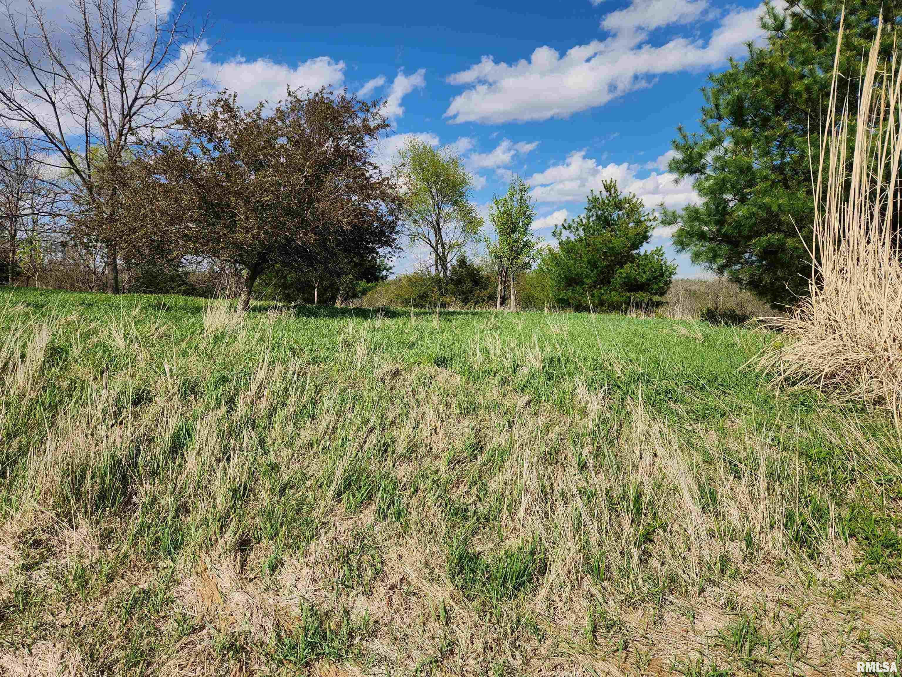 376 East Town Hall Road Metamora, IL 61548 - Photo 8 of 10
