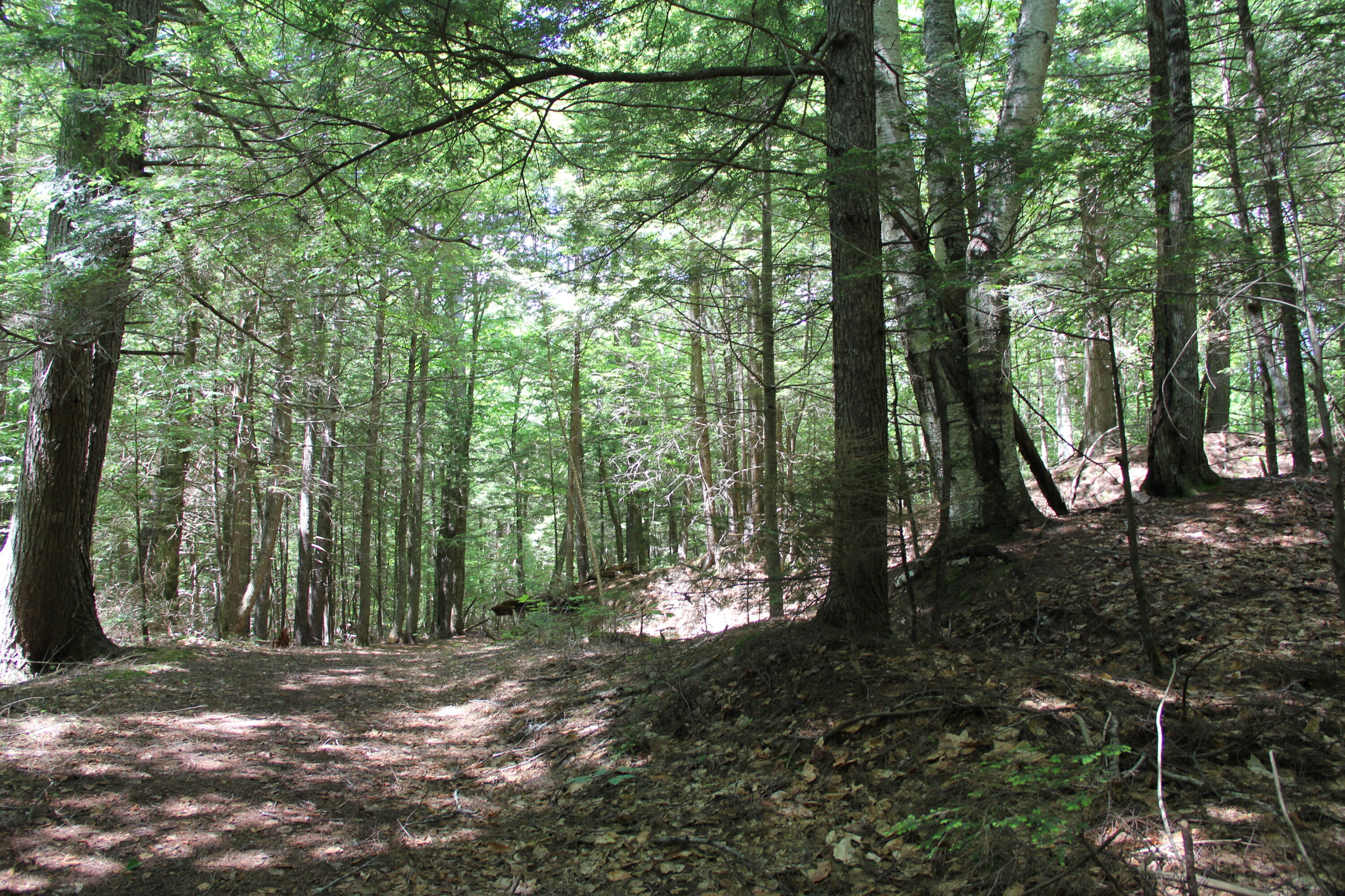 Lot 41 Salmon Road Madison, ME 04950 - Photo 3 of 6
