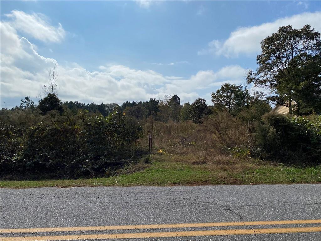 50 Old Henrys Church Road Canon, GA 30520 - Photo 1 of 1