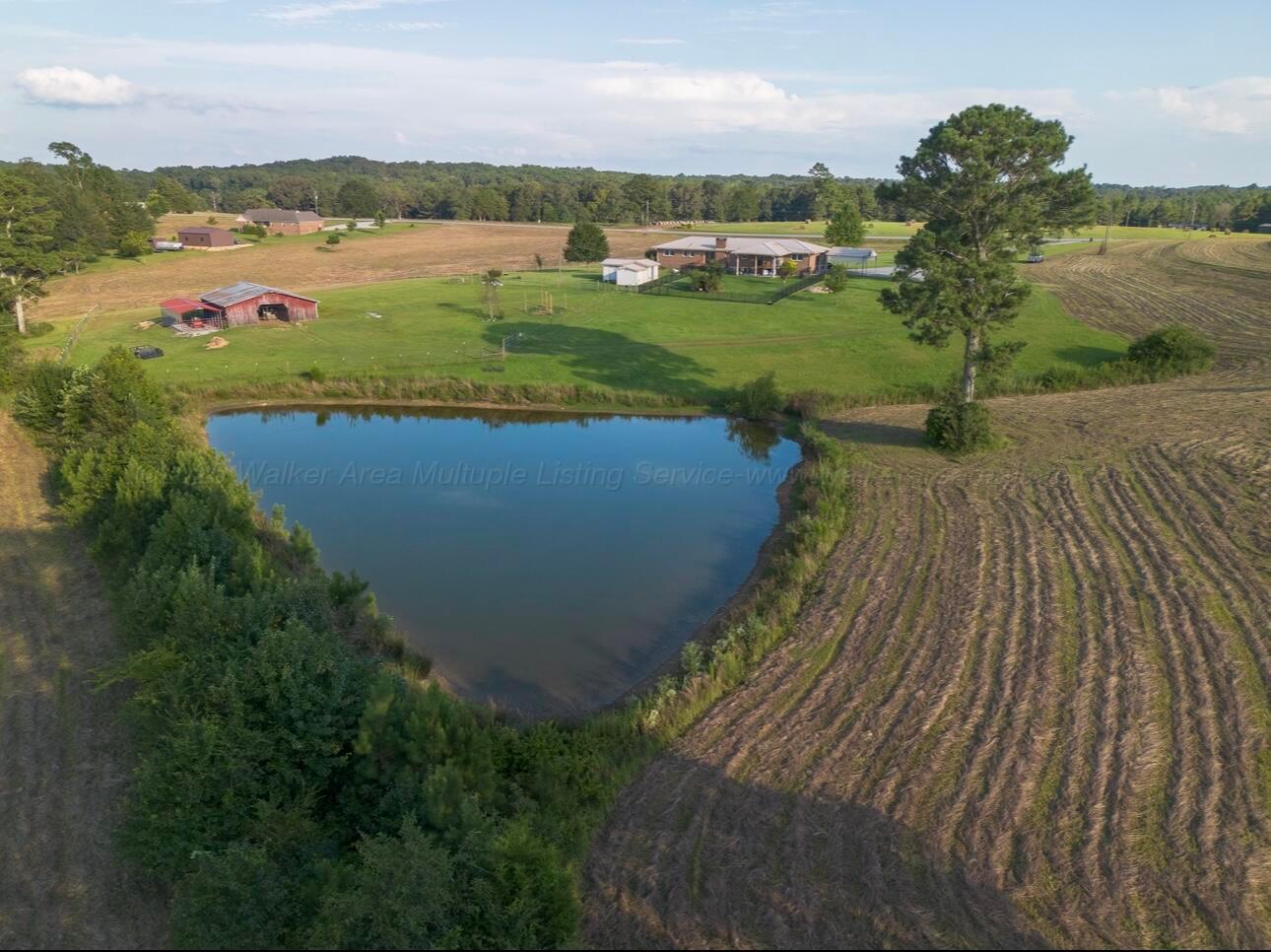 1472 Sentry Road Hamilton, AL 35570 - Photo 38 of 46 pond