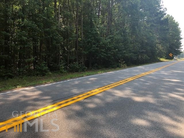 0 Roscoe Road Newnan, GA 30263 - Photo 1 of 1 Gallery Image 1
