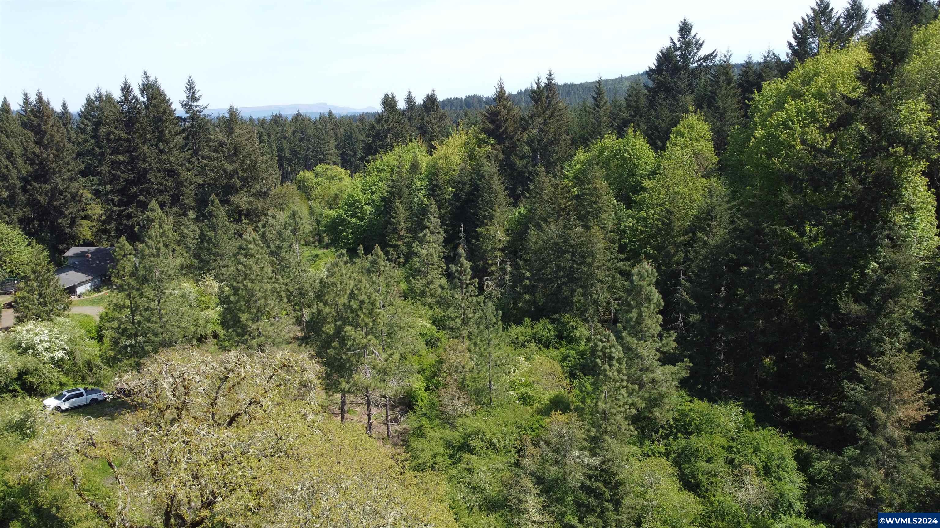 43458 Rogers Mountain Road Scio, OR 97374 - Photo 19 of 19