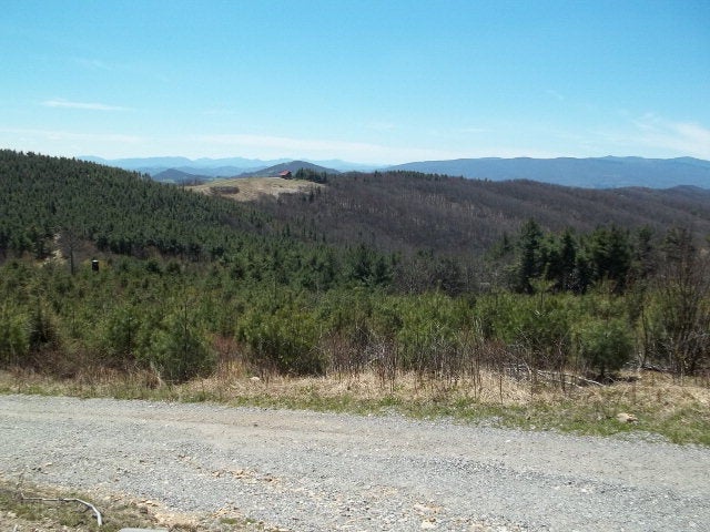 Off Lost Lake Road, Unit 3 Troutdale, VA 24378 - Photo 4 of 7 Gallery Image 4