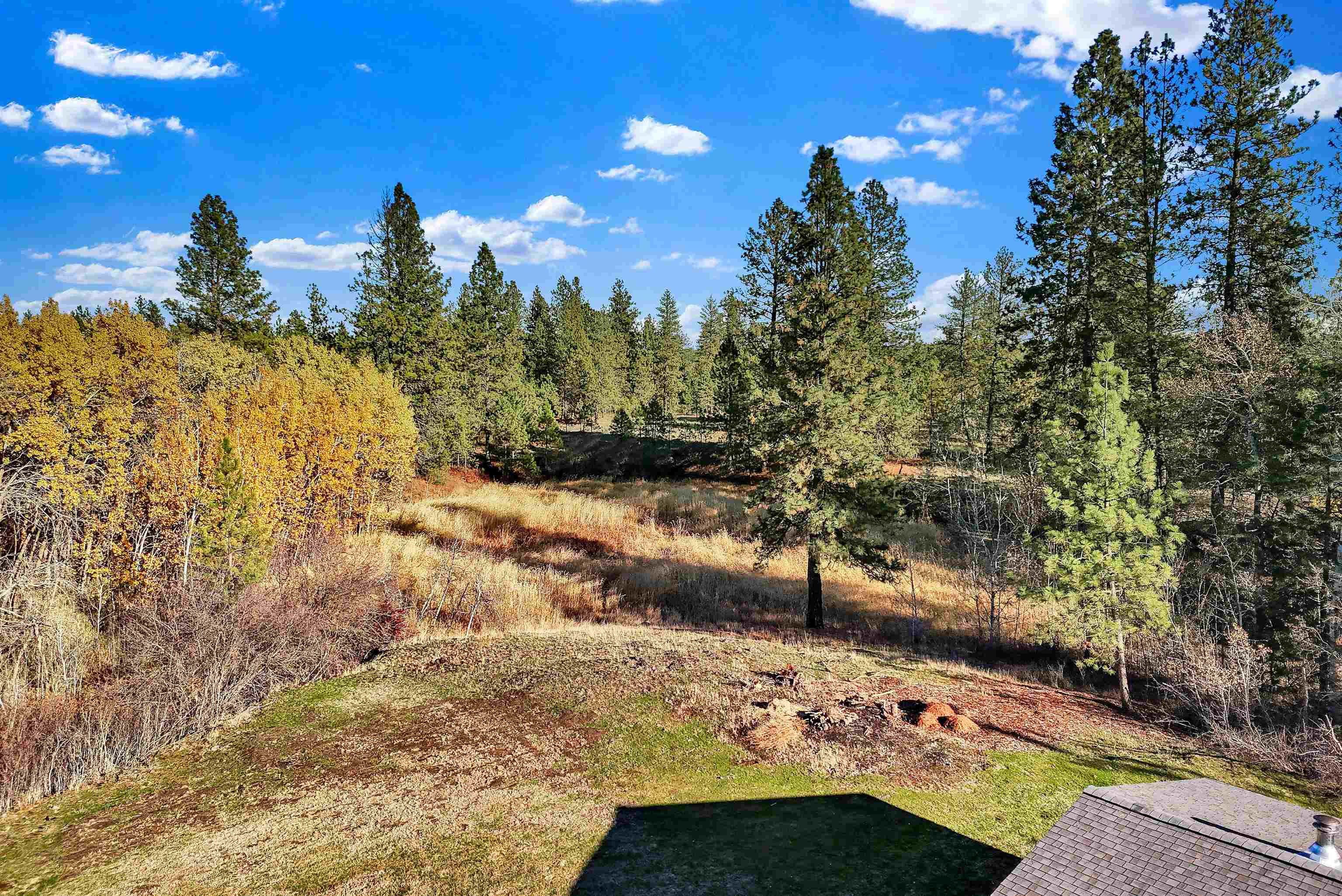 16309 Cheney Spokane Road Cheney, WA 99004 - Photo 45 of 50