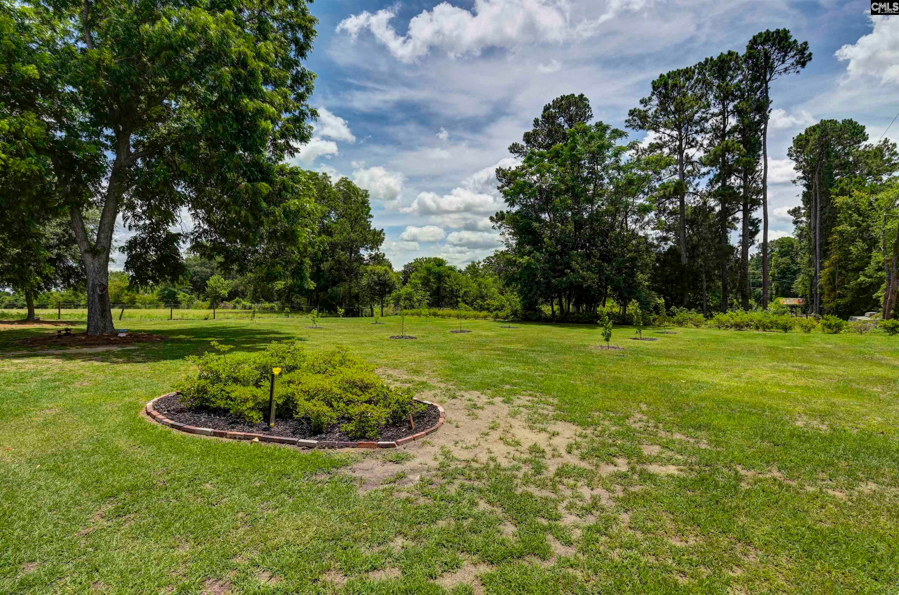 204 State Rd S-32-955 Leesville, SC 29070 - Photo 40 of 60 Gallery Image 40