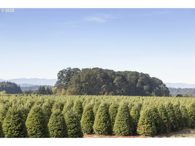 a view of a house with a outdoor space