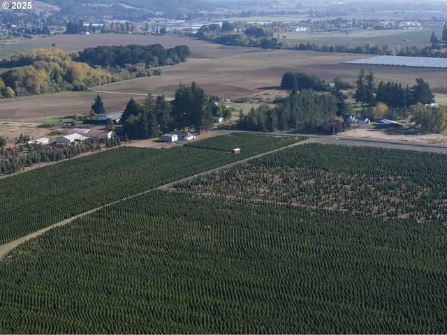 a view of a lake in middle of the town