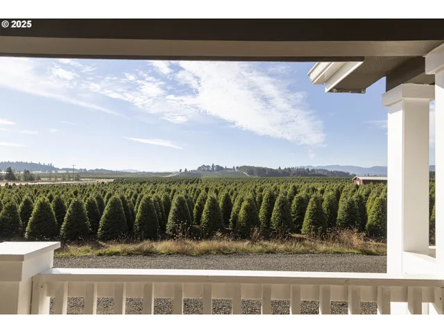 a view of city from the balcony