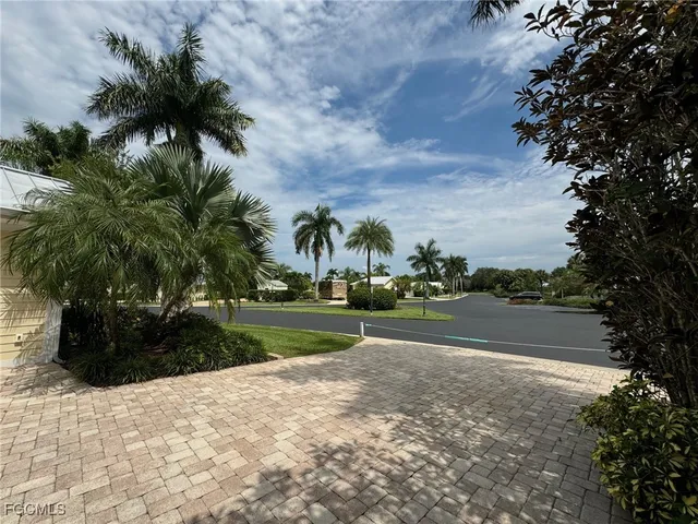 a view of a lot of flowers