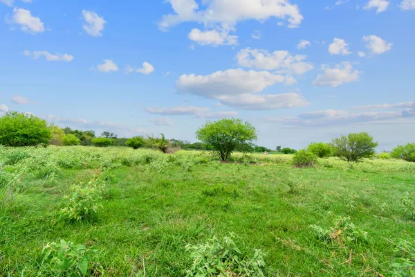 $73,900 | Lot 21 County Road 402, Flatonia, TX 78941