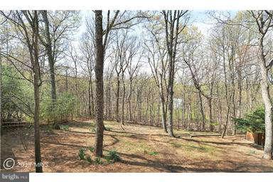 436 Utterback Store Road Great Falls, VA 22066 - Photo 27 of 30 Rear View