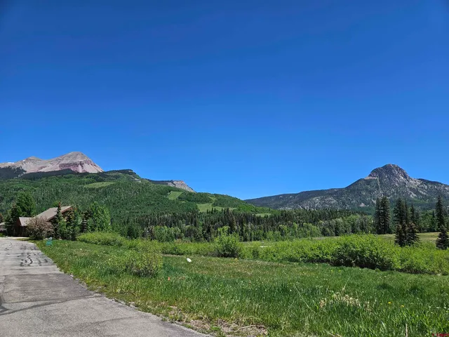 a view of a yard with a tree