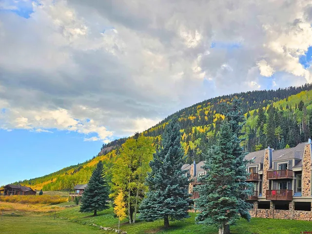 an aerial view of garden with swimming pool