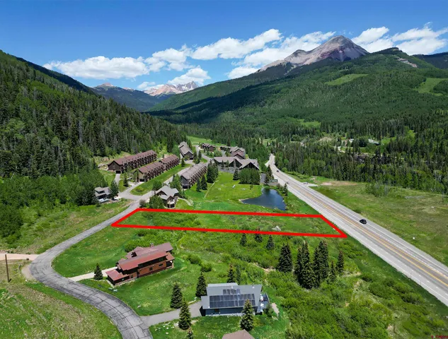 a view of a lush green space