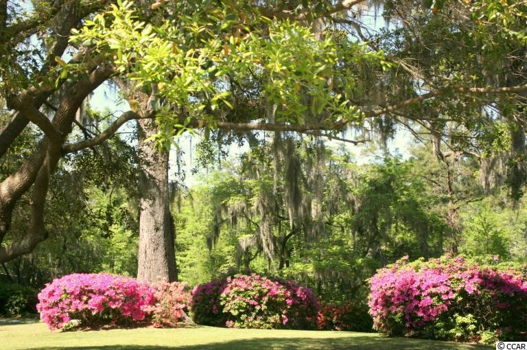 7160 Oak Grove Road Conway, SC 29527 - Photo 25 of 30 Gallery Image 25