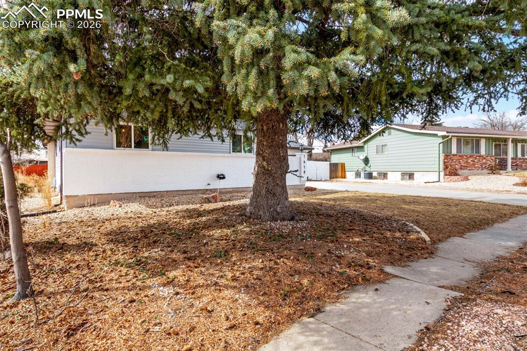 1418 Osgood Road Colorado Springs, CO 80915 - Photo 3 of 38