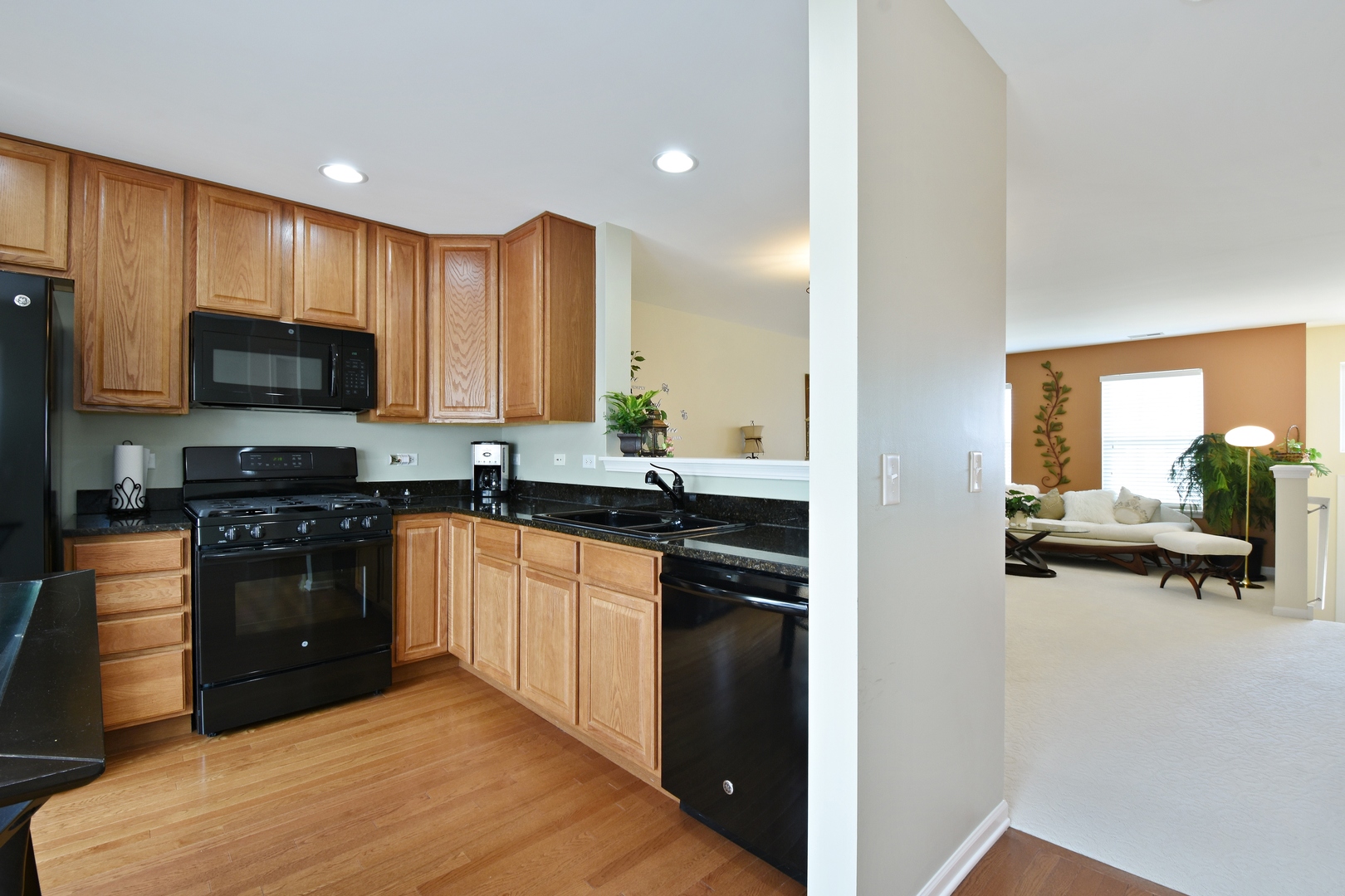 620 Treble Lane Volo, IL 60073 - Photo 8 of 18