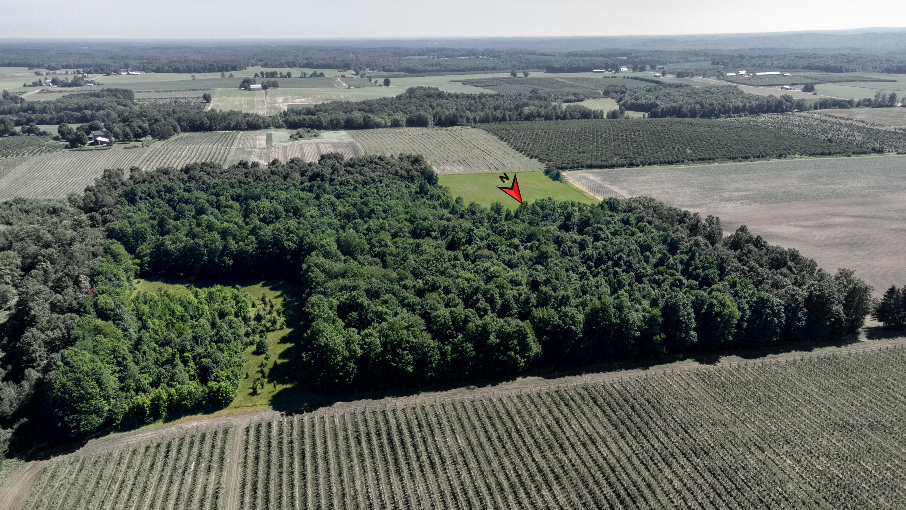 Vl East Taylor Road Hart, MI 49420 - Photo 5 of 11 White Woods-6