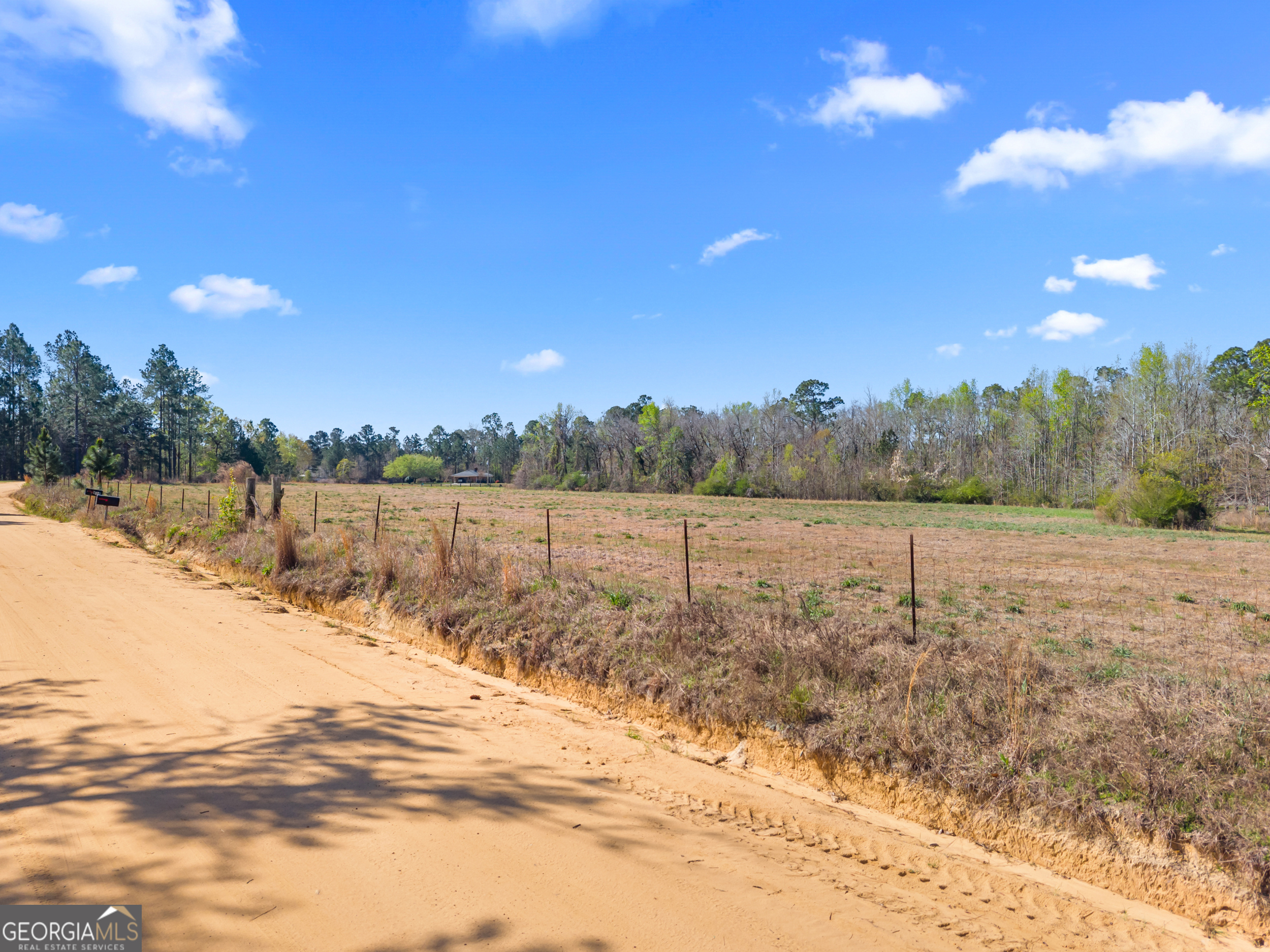 0 Lester Fordham Road Statesboro, GA 30458 - Photo 2 of 10 a view of a lake view and a large trees