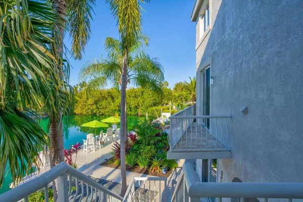 a view of a park with large trees