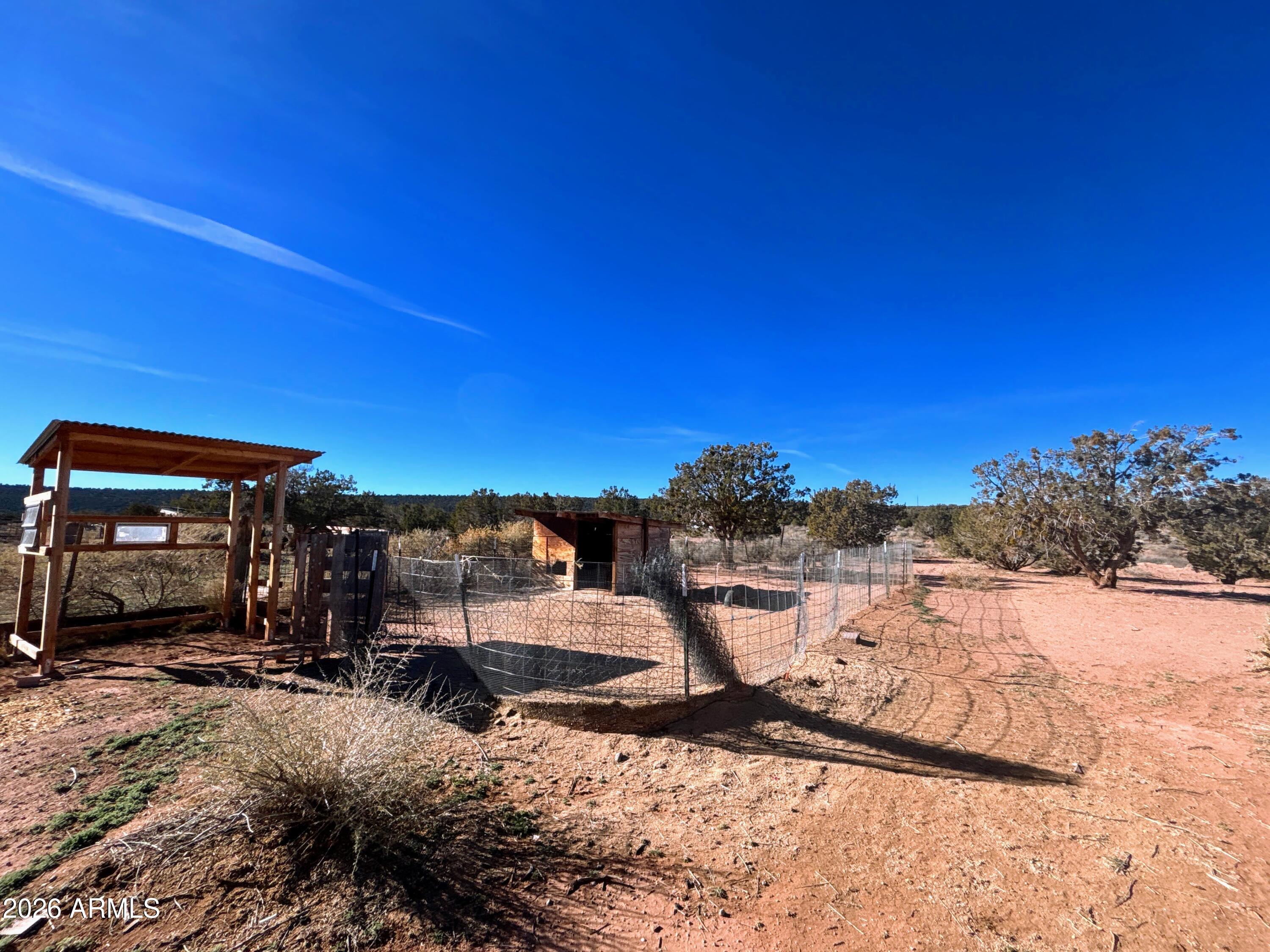 4038 Colt Road Snowflake, AZ 85937 - Photo 27 of 35 a view of a yard with a tree